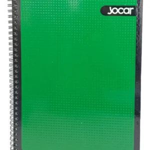 Cuaderno Espiral Profesional c/100 hojas